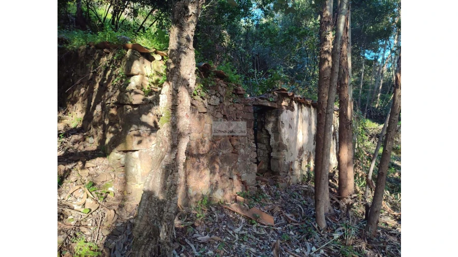 Terreno para Venda em Marmelete Foto 16