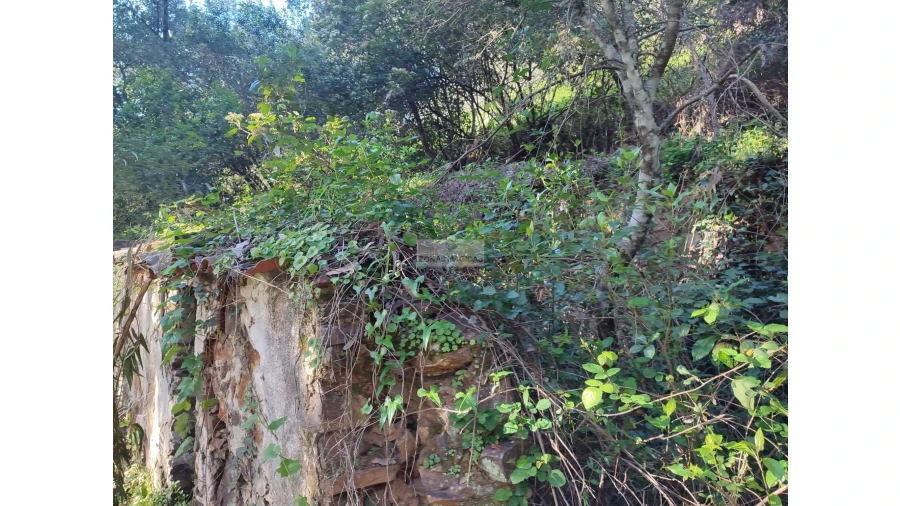 Terreno para Venda em Marmelete Foto 13