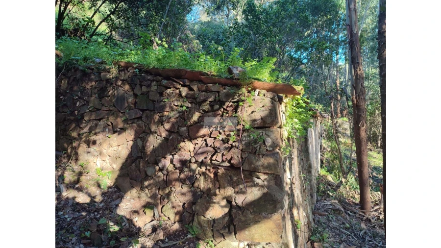 Terreno para Venda em Marmelete
