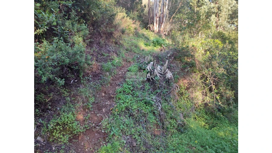 Terreno para Venda em Marmelete Foto 7