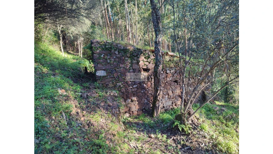 Terreno para Venda em Marmelete Foto 8