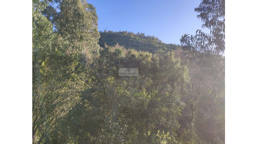 Terreno para Venda em Marmelete Foto 6