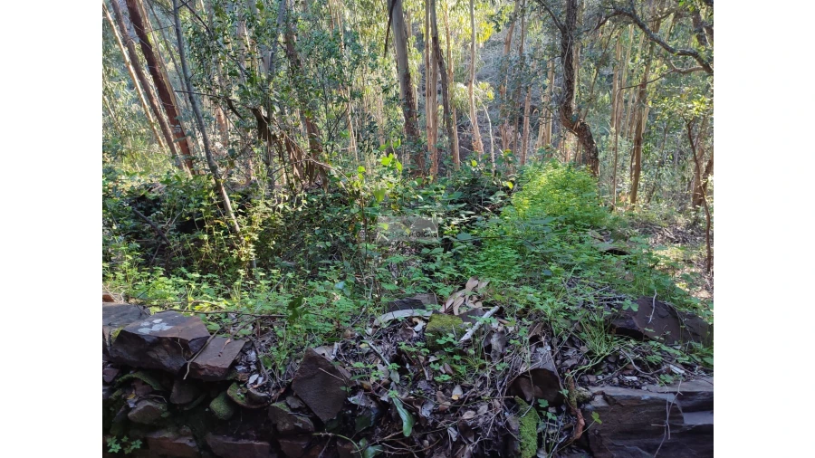 Terreno para Venda em Marmelete Foto 12