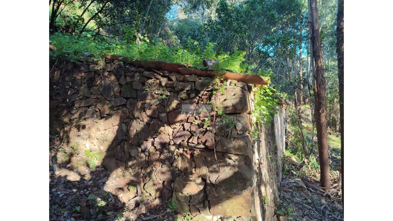 Terreno para Venda em Marmelete Foto 1