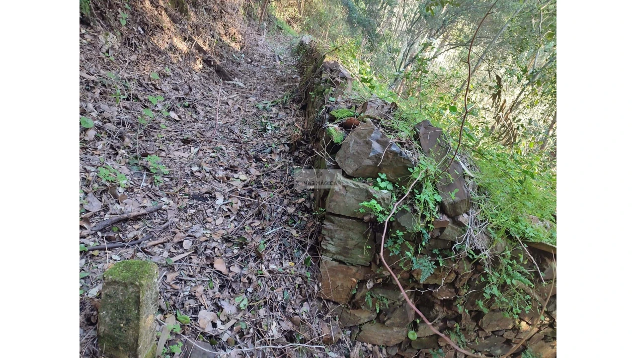 Terreno para Venda em Marmelete Foto 11