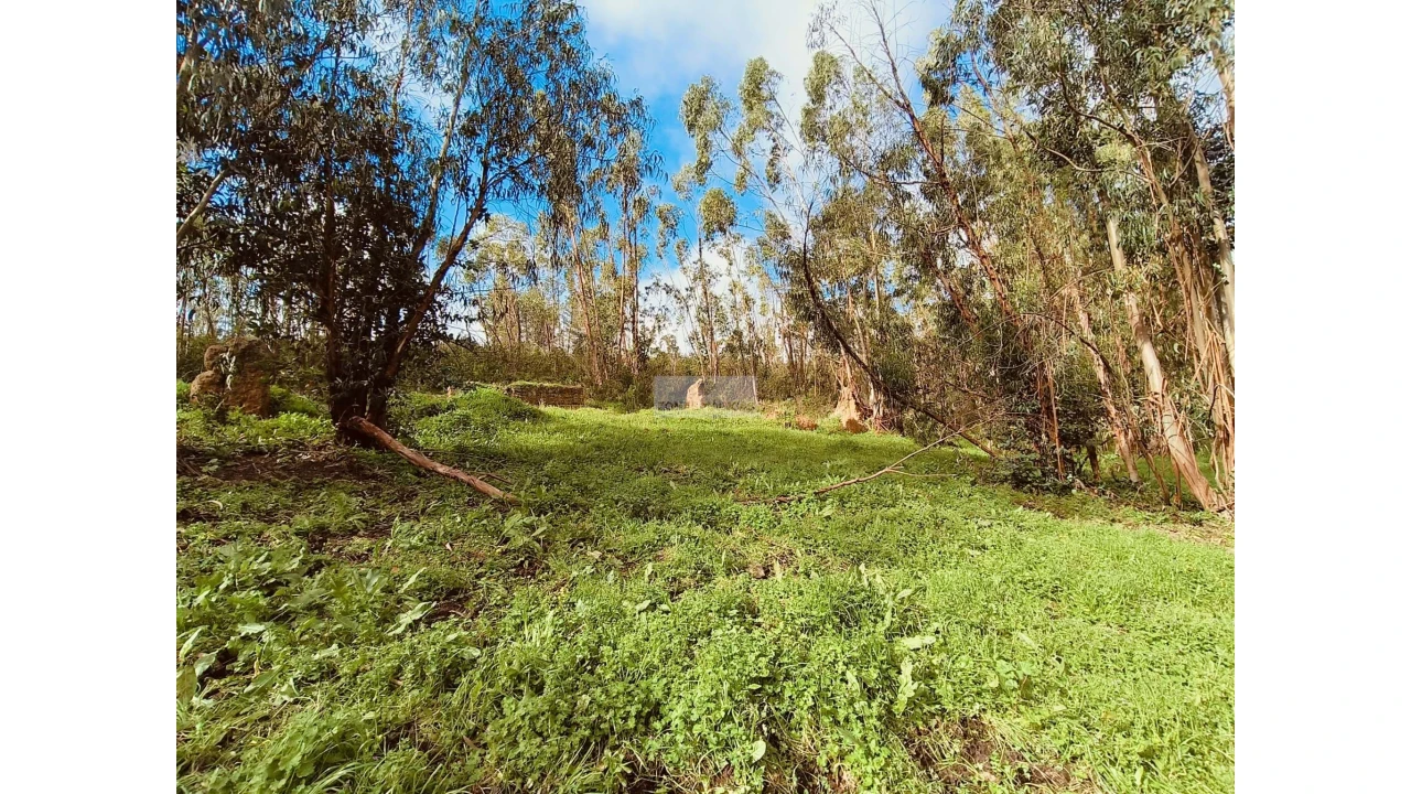 Terreno para Venda em Marmelete Foto 9