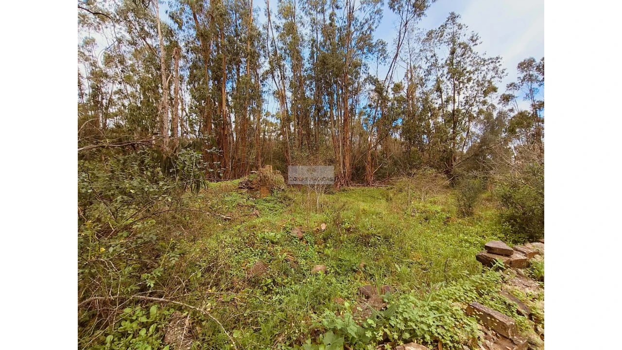 Terreno para Venda em Marmelete Foto 14