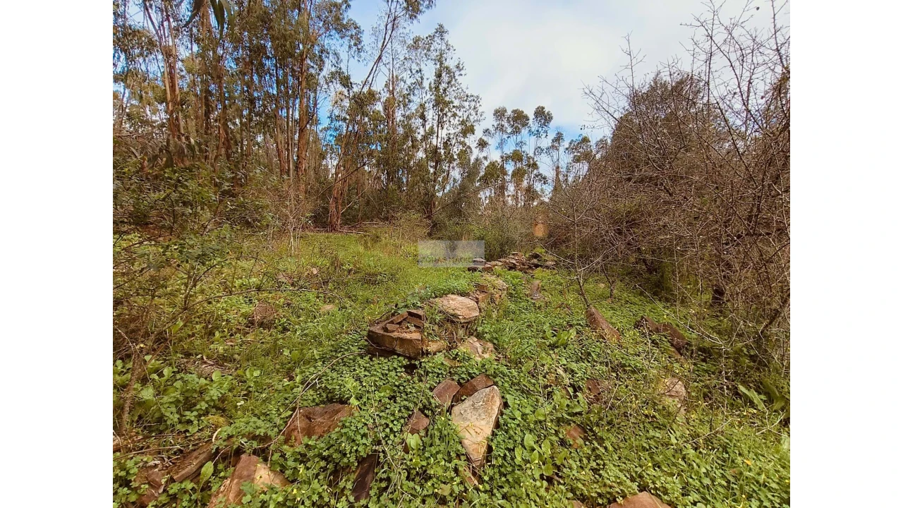 Terreno para Venda em Marmelete Foto 15