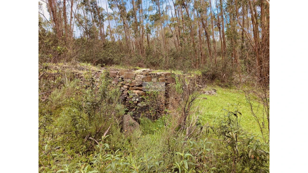 Terreno para Venda em Marmelete Foto 5