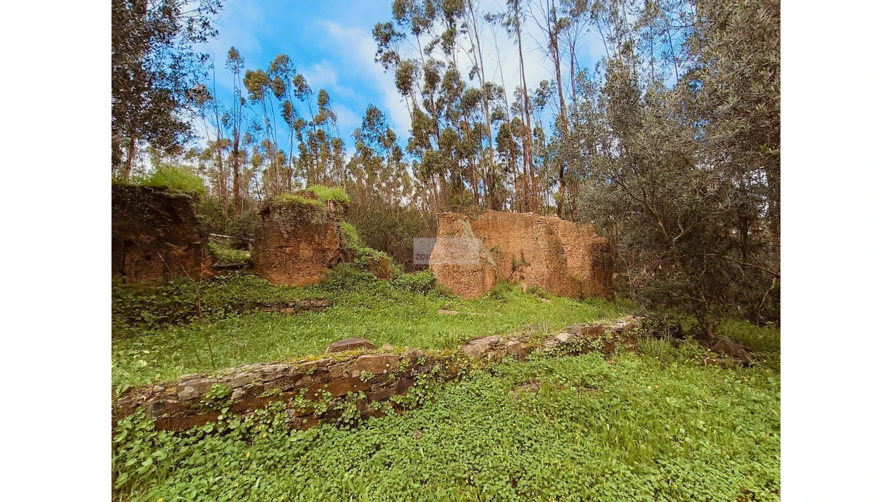 Terreno para Venda em Marmelete Foto 4