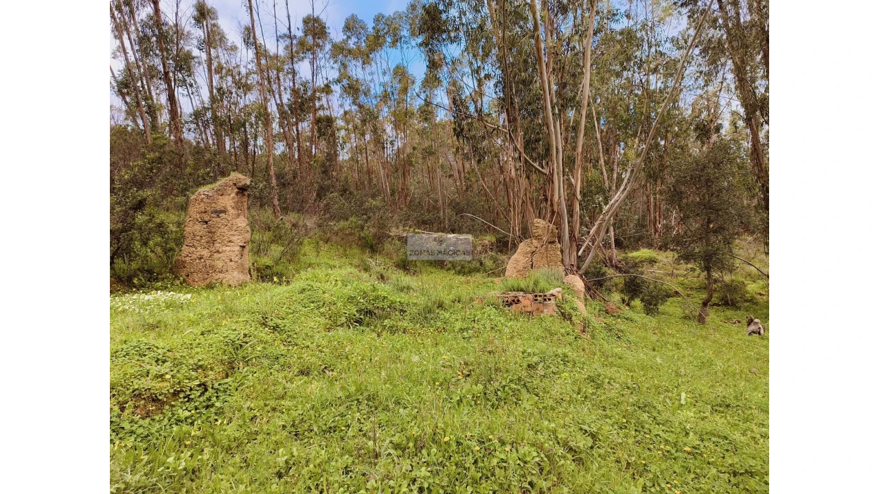 Terreno para Venda em Marmelete Foto 17