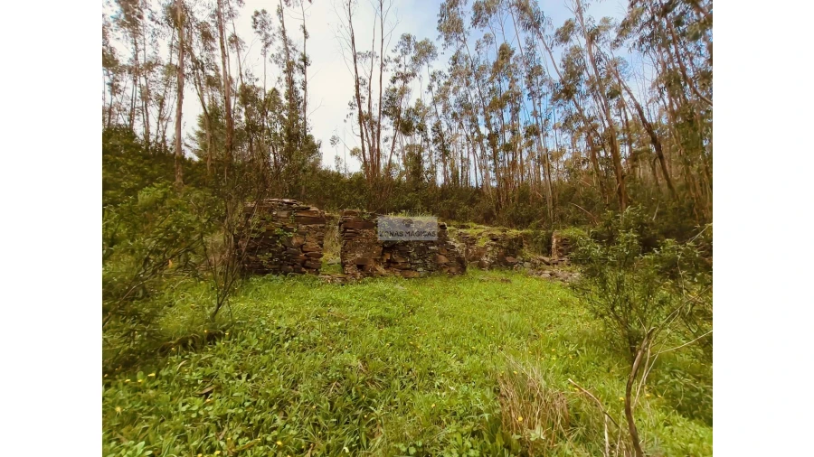 Terreno para Venda em Marmelete Foto 8