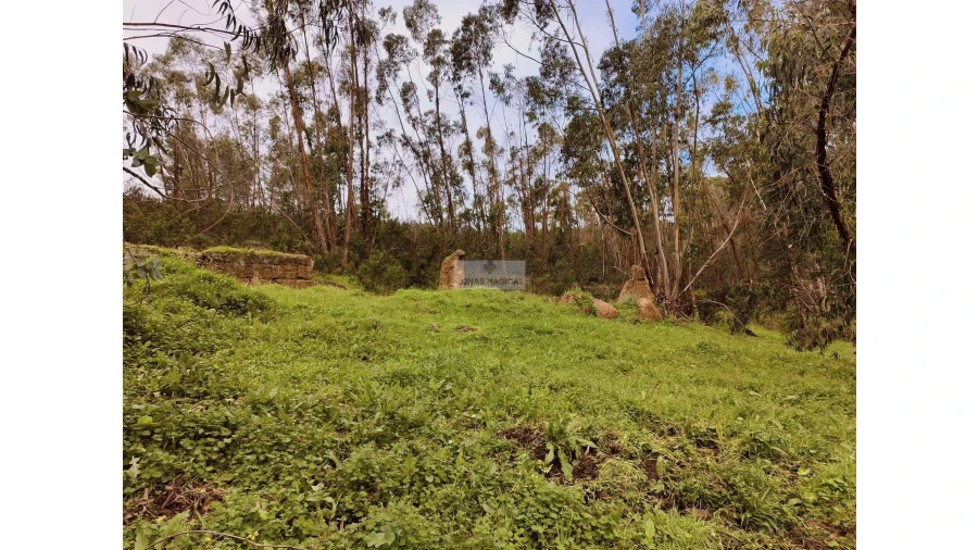 Terreno para Venda em Marmelete Foto 18