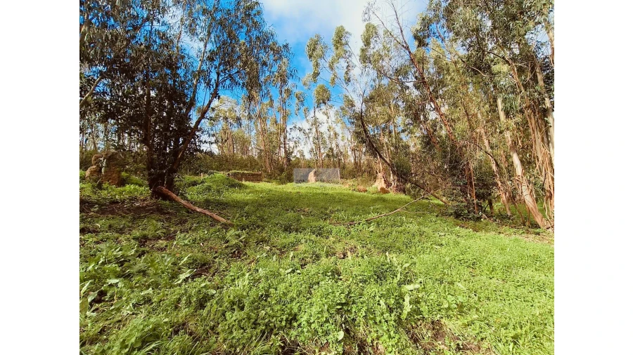 Terreno para Venda em Marmelete Foto 9