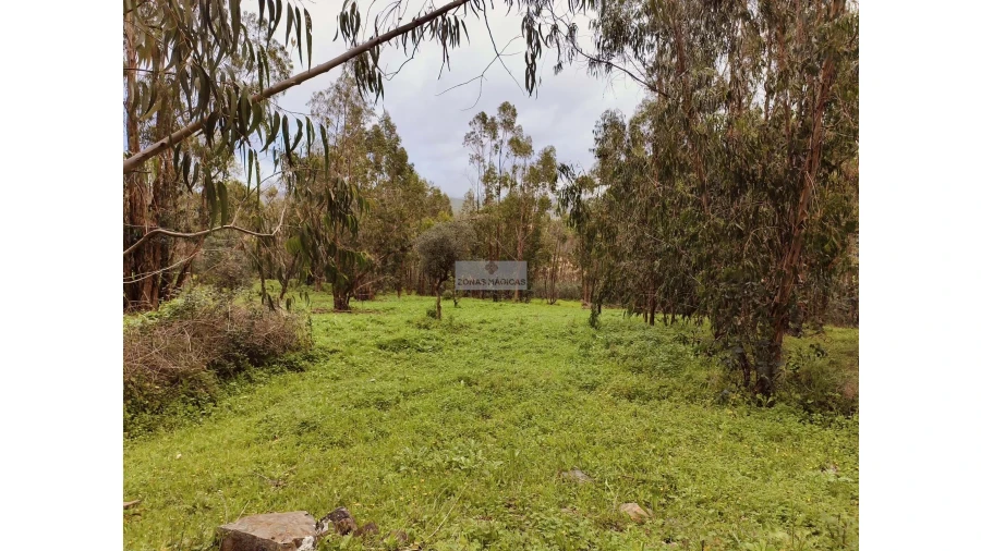 Terreno para Venda em Marmelete Foto 20