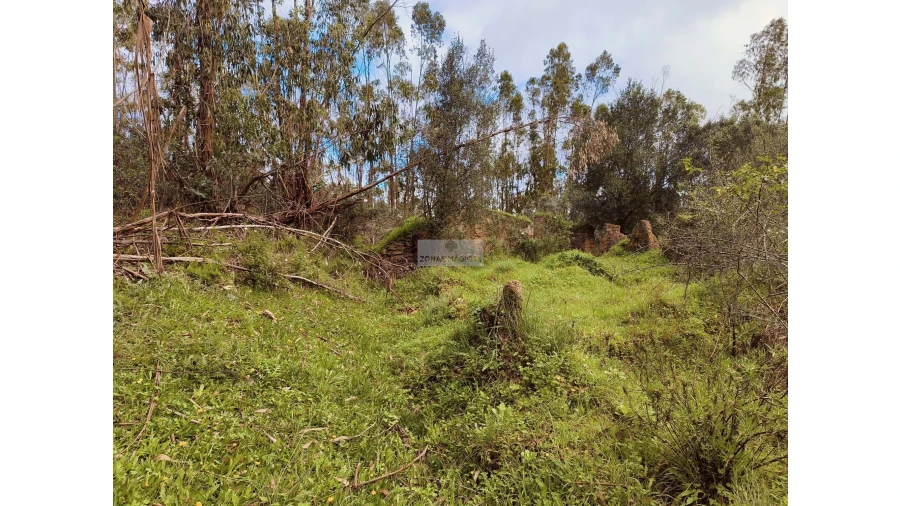 Terreno para Venda em Marmelete Foto 13