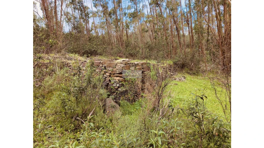 Terreno para Venda em Marmelete Foto 5