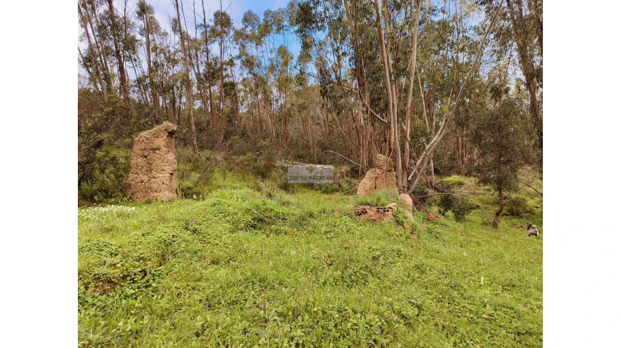 Terreno para Venda em Marmelete Foto 17