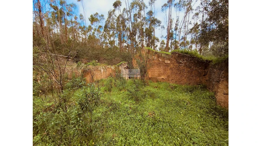 Terreno para Venda em Marmelete