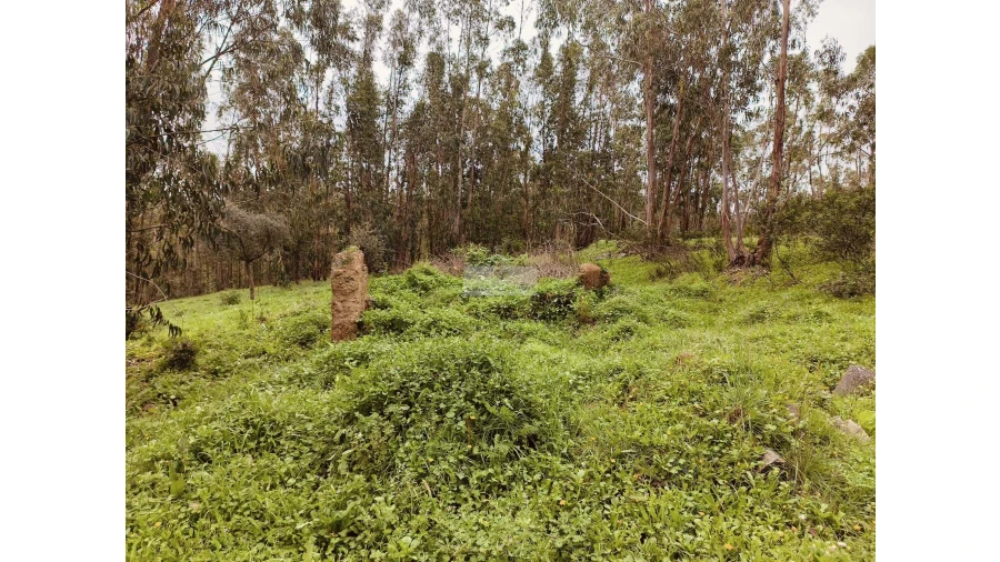 Terreno para Venda em Marmelete Foto 16