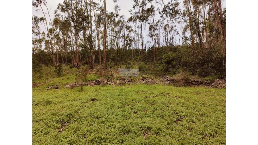 Terreno para Venda em Marmelete Foto 21