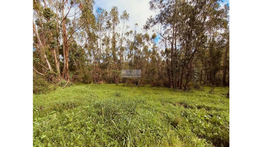 Terreno para Venda em Marmelete Foto 11