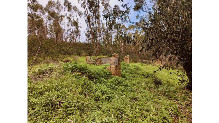Terreno para Venda em Marmelete Foto 19