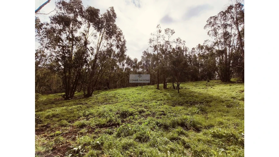 Terreno para Venda em Marmelete Foto 10