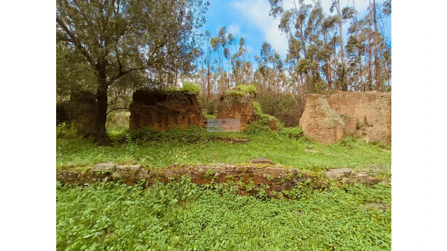 Terreno para Venda em Marmelete Foto 2
