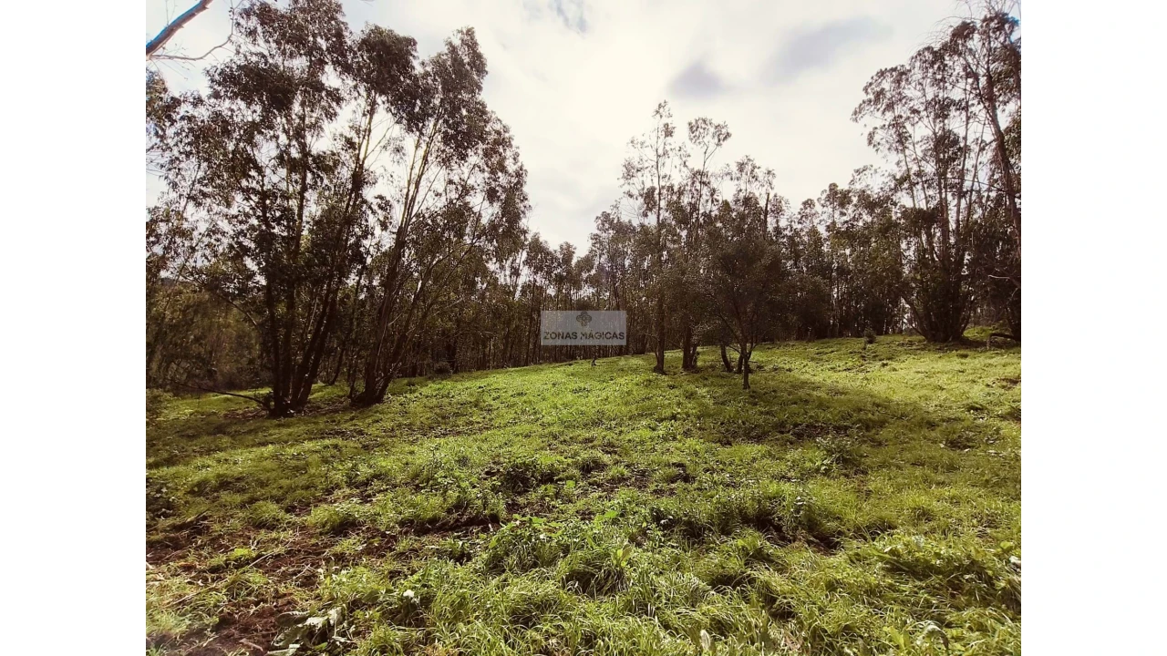 Terreno para Venda em Marmelete Foto 10