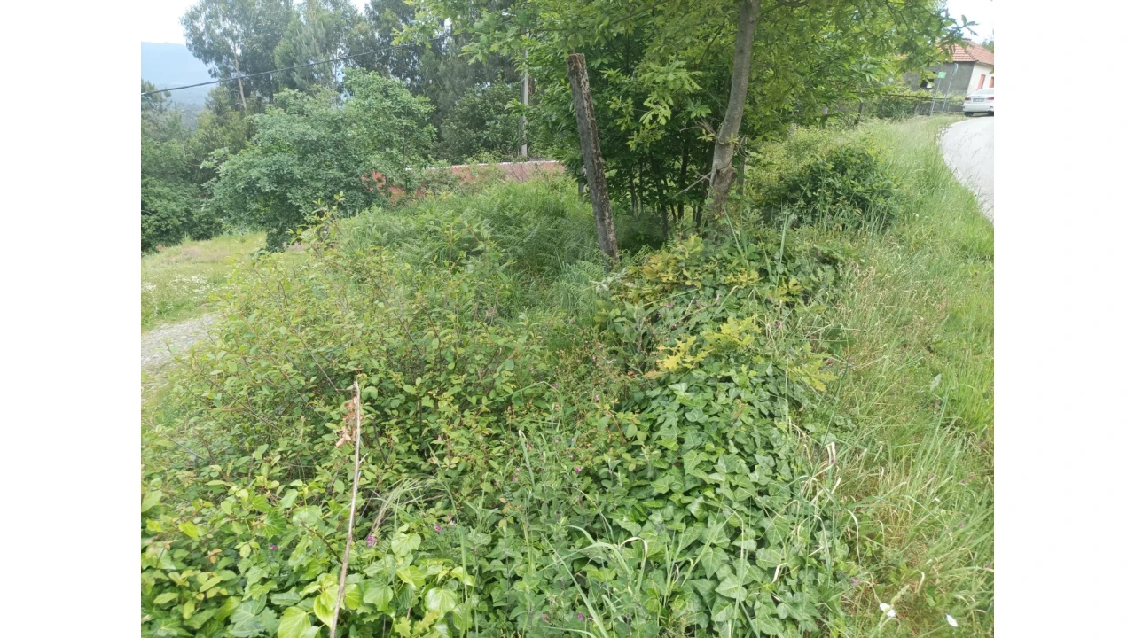 Moradia T2 para Venda em Junqueira Foto 9