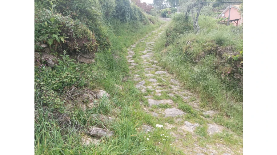 Moradia T2 para Venda em Junqueira Foto 7