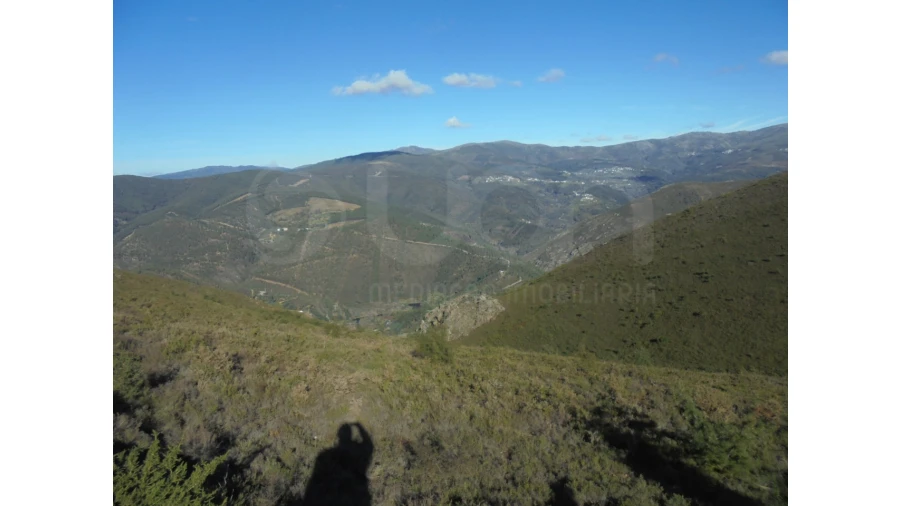 Moradia T2 para Venda em Covelo de Paivó e Janarde Foto 11