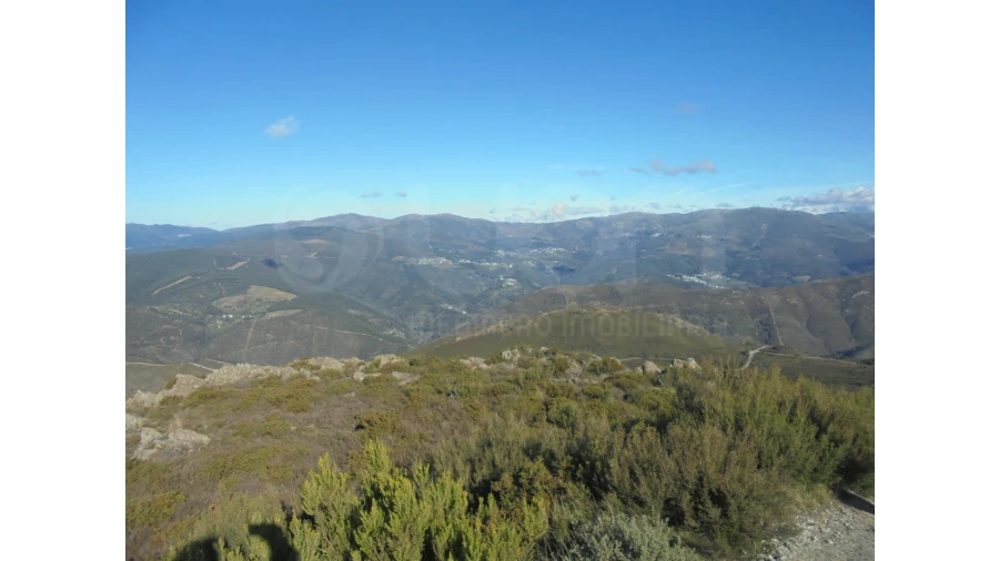 Moradia T2 para Venda em Covelo de Paivó e Janarde Foto 13