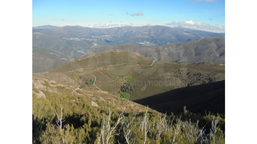 Moradia T2 para Venda em Covelo de Paivó e Janarde Foto 14
