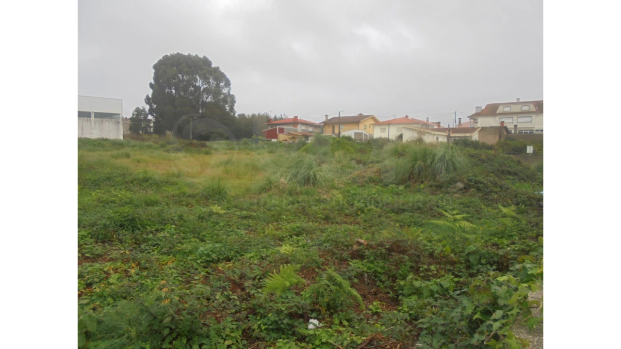 Terreno para Venda em Esmoriz Foto 5