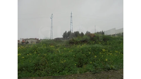 Terreno para Venda em Esmoriz