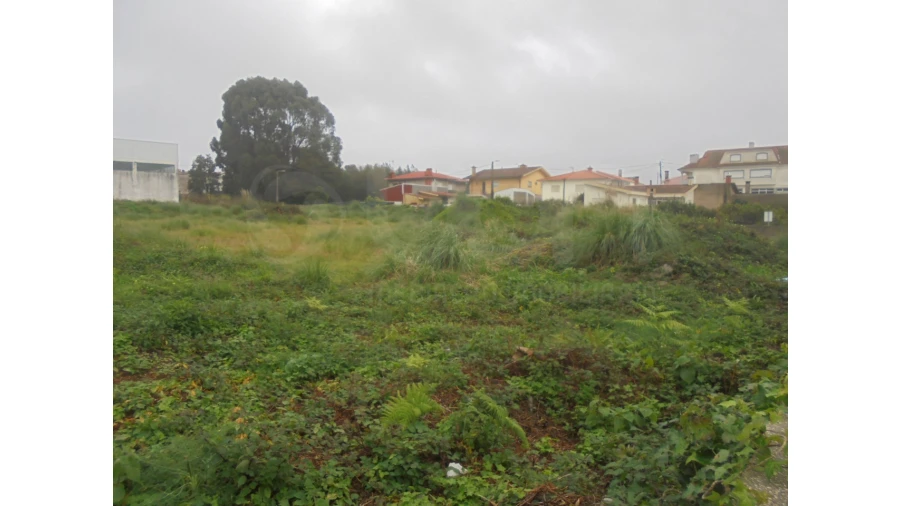Terreno para Venda em Esmoriz Foto 5