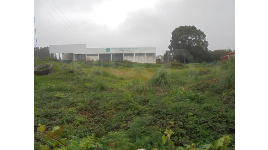Terreno para Venda em Esmoriz Foto 8