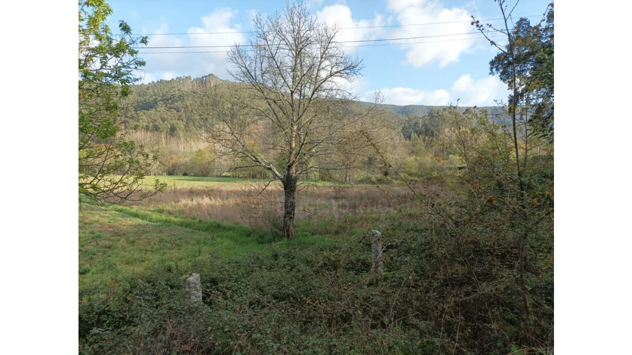 Terreno Agricola ou Rústico para Venda em Ossela Foto 1