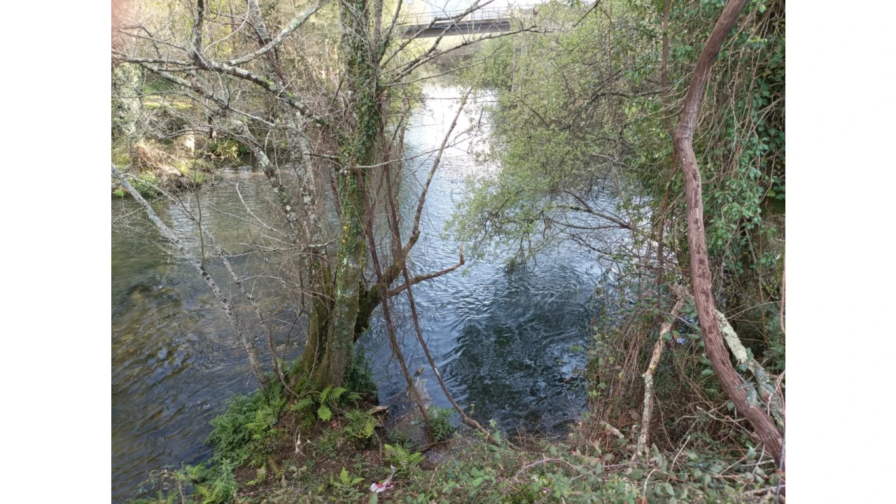 Terreno Agricola ou Rústico para Venda em Ossela Foto 5