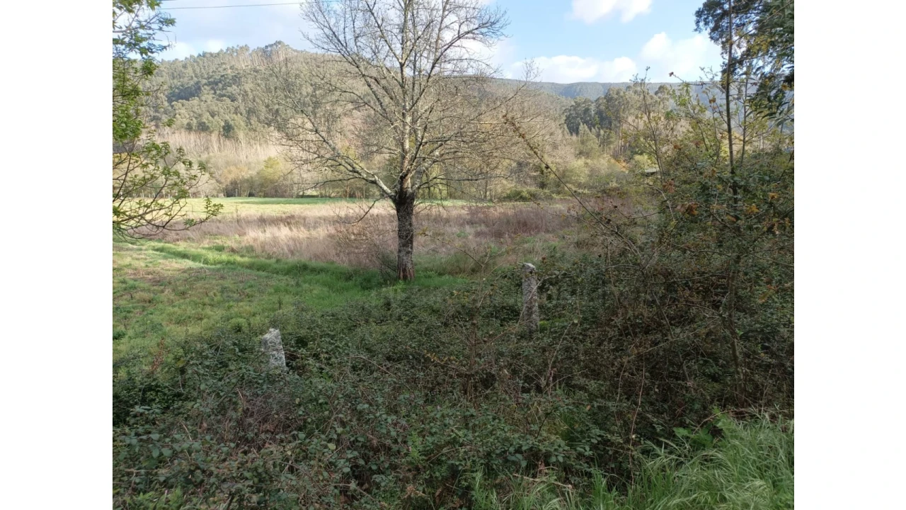 Terreno Agricola ou Rústico para Venda em Ossela Foto 6