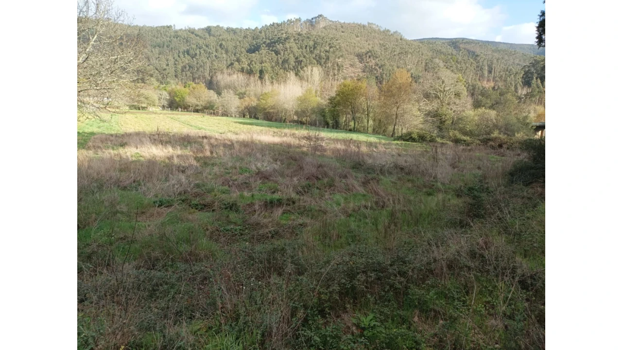 Terreno Agricola ou Rústico para Venda em Ossela Foto 9
