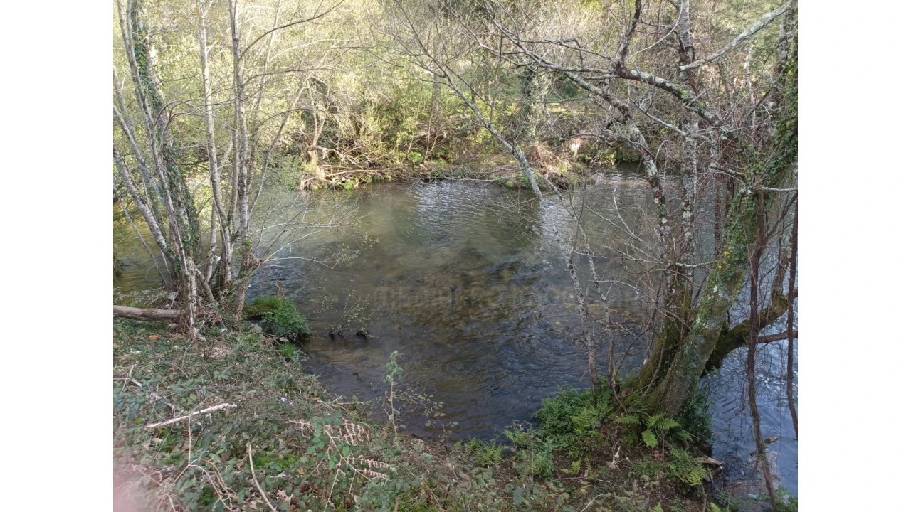 Terreno Agricola ou Rústico para Venda em Ossela Foto 10