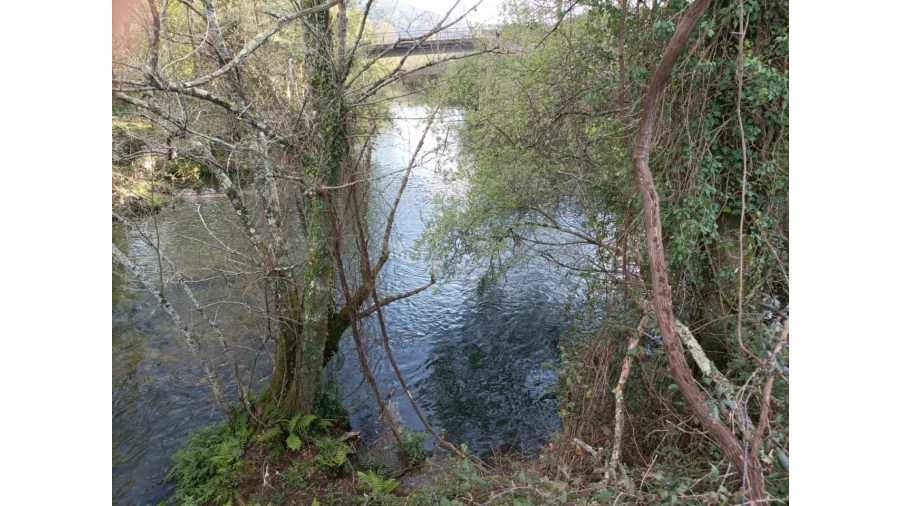 Terreno Agricola ou Rústico para Venda em Ossela Foto 2