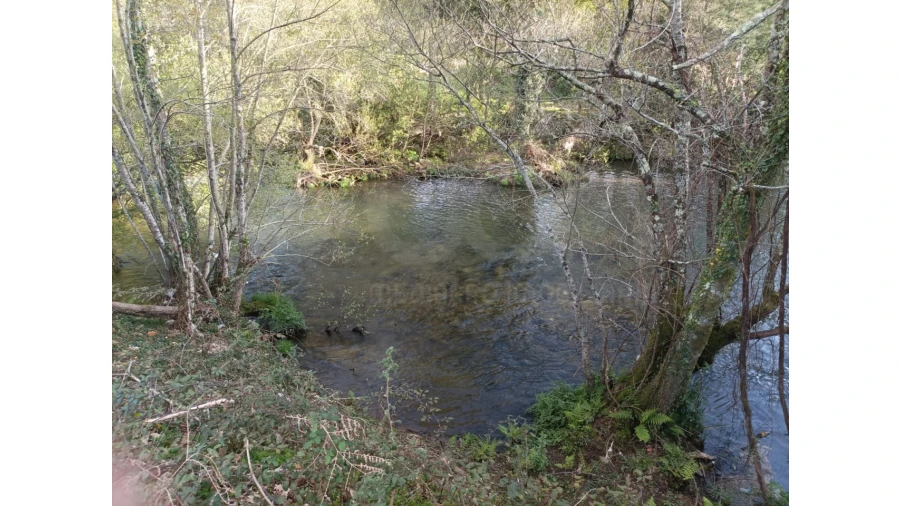Terreno Agricola ou Rústico para Venda em Ossela Foto 3