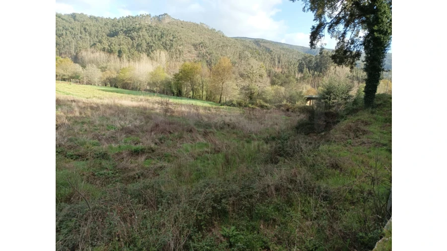 Terreno Agricola ou Rústico para Venda em Ossela Foto 7