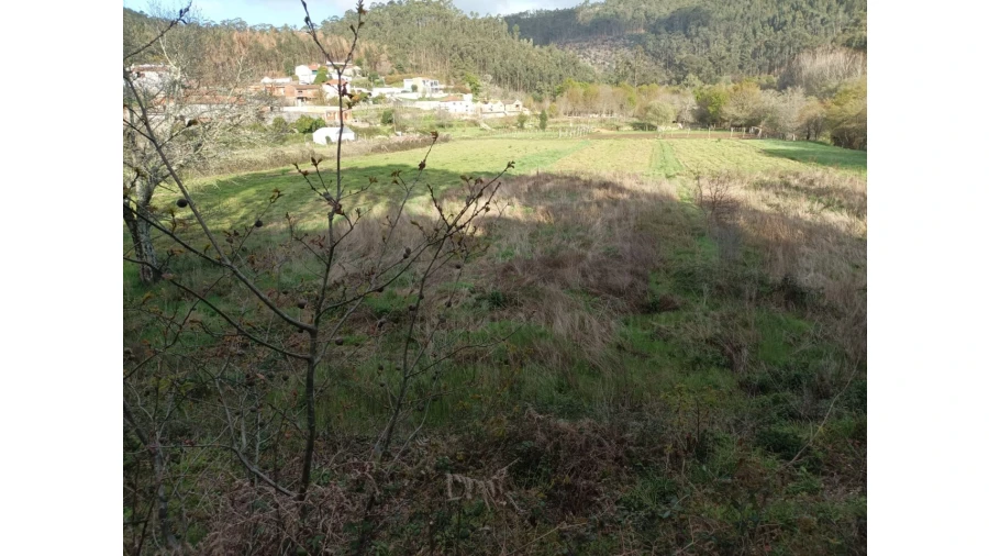 Terreno Agricola ou Rústico para Venda em Ossela Foto 8