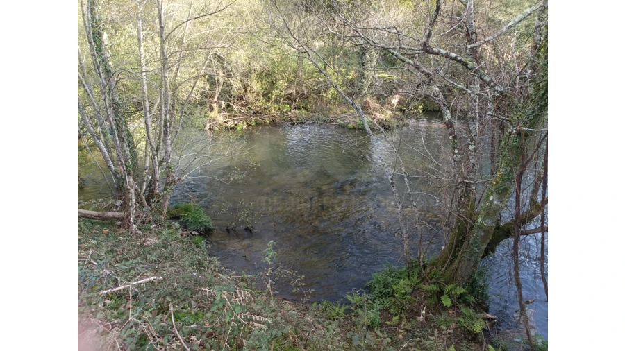 Terreno Agricola ou Rústico para Venda em Ossela Foto 10