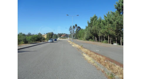 Terreno para Venda em Águeda e Borralha